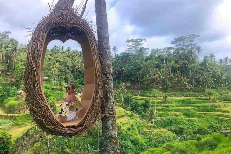 Ubud, Monkey forest, Riceterace Waterfall, Purification - Ulu Petanu waterfall: the payoff after the photo stops
