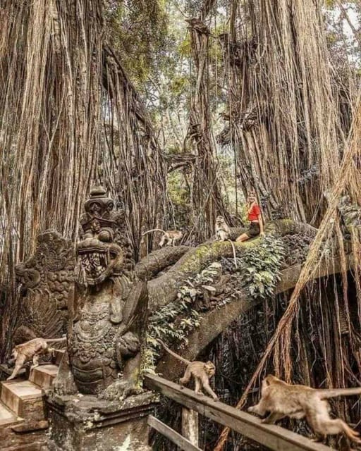 Ubud, Monkey forest, Riceterace Waterfall, Purification - Purification Temple: the most meaningful part of the day