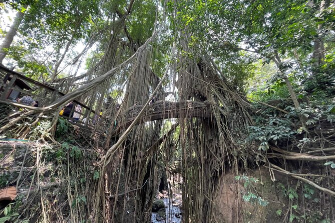 Ubud Monkey Forest Sanctuary Entrance Ticket All Inclusive - Value check: what you’re paying for (and why it can be fair)