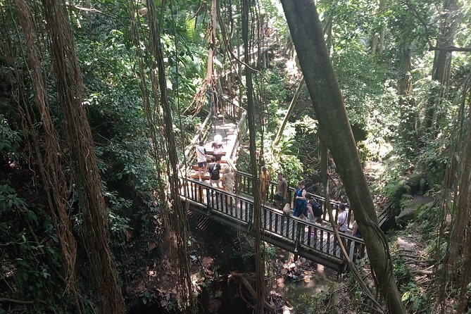 Ubud Monkey Forest Sanctuary Entrance Ticket All Inclusive - Balinese show time: what to do with that extra slot
