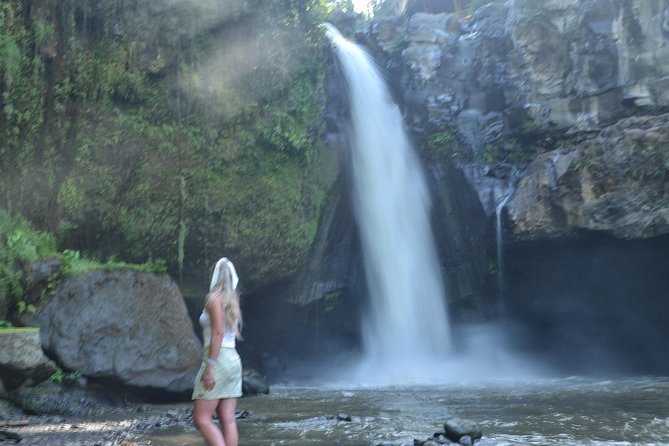 Ubud Monkey Forest Sanctuary Tours and Cretya - Price and value: why $73 can work in Bali if you use the time right