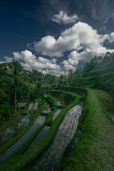 Ubud: Monkey Forest, Tegenungan Waterfall, and Rice Terraces - Ubud Art Market: souvenirs with real local flavor