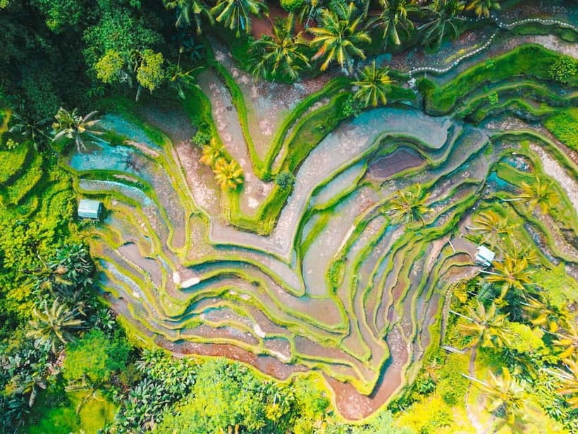 Ubud: Monkey Forest, Tegenungan Waterfall, and Rice Terraces - Tegenungan Waterfall: a valley view with real payoff