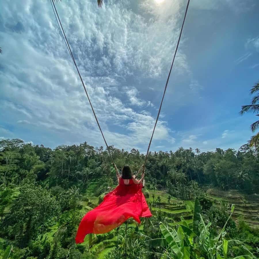 Ubud Monkey Forest, Temple, Rice Terrace and Waterfall Tour - Sacred Monkey Forest Sanctuary: Wildlife Up Close With Guardrails