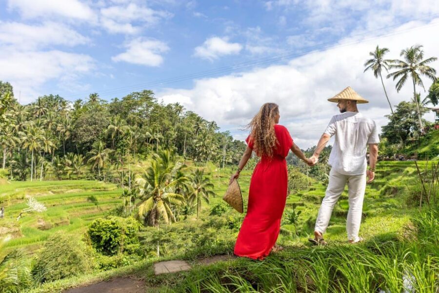 Ubud Monkey Forest, Temple, Rice Terrace and Waterfall Tour - Price and Value: Why $24 Can Make Sense Here