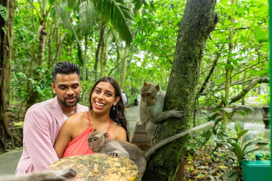 Ubud Monkey Forest, Temple, Rice Terrace and Waterfall Tour - What This Tour Is Best For (And Who Might Not Love It)