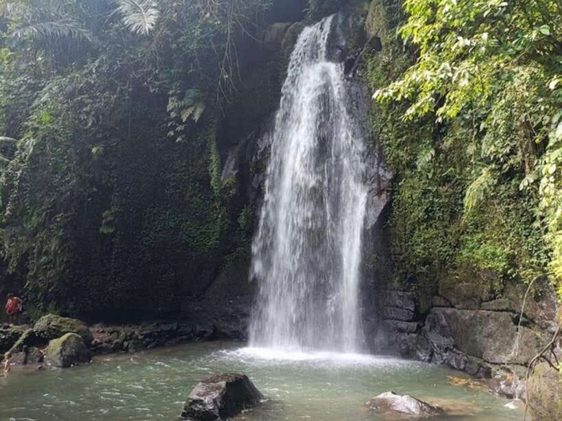 Ubud: Monkey Forest, Temple, Rice Terraces, Hidden Waterfall - Sacred Monkey Forest: Baby Play, Staff Feeding, and Photo Time