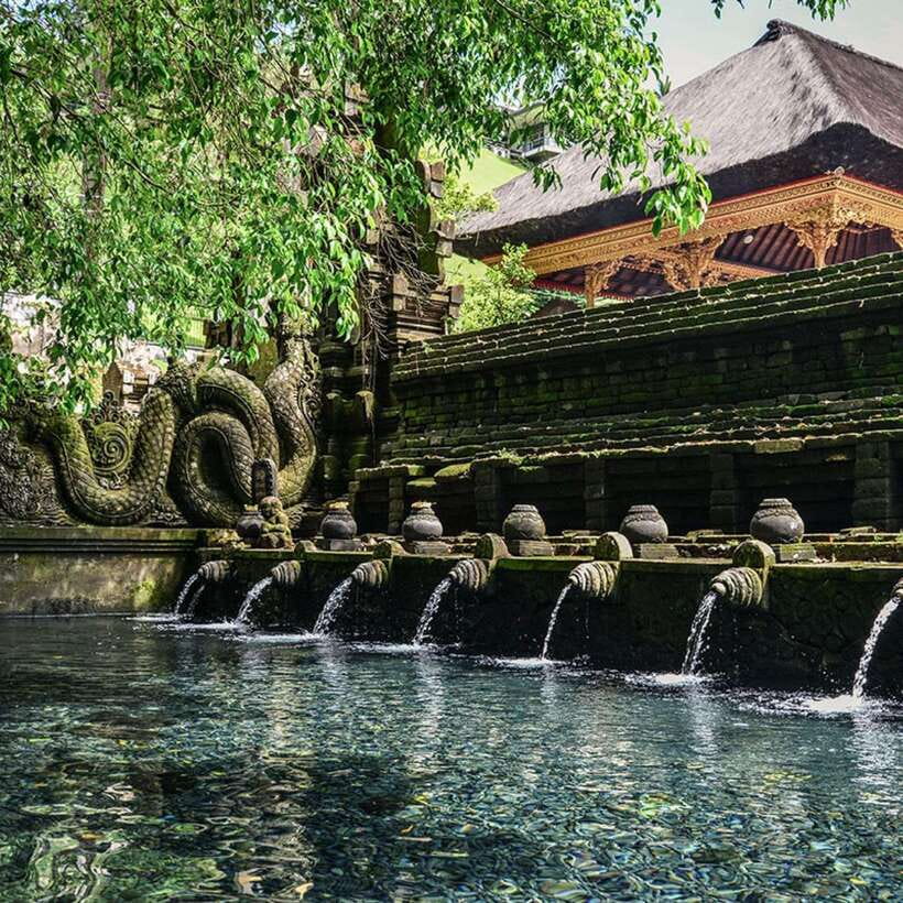 Ubud: Monkey Forest, Temple, Rice Terraces, Hidden Waterfall - Tegalalang Rice Terraces: More Than a Scenic Walk