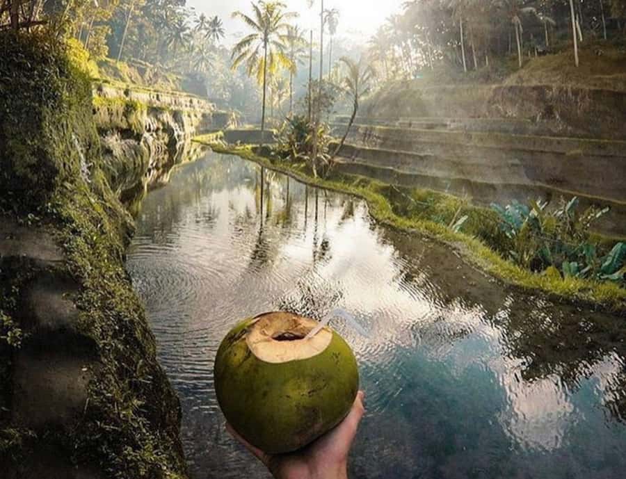 Ubud: Monkey Forest, Waterfall, and Rice Terrace Tour - Optional Add-Ons: Swing, Luwak Coffee, Polaroids, and Adventure Additions