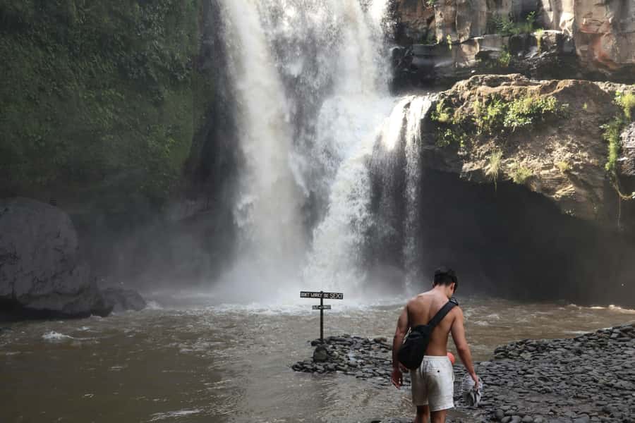Ubud: Monkey Forest, Waterfall, and Rice Terrace Tour - Guide, Group Size, and Transport: Why It Changes the Experience