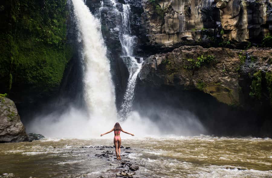 Ubud: Monkey Forest, Waterfall, and Rice Terrace Tour - Price and Value: Is $37 Actually a Good Deal?