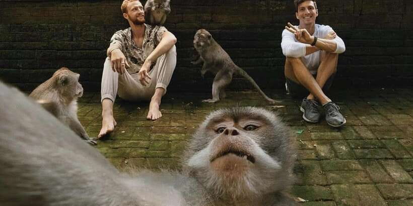 Ubud Monkey Forest, Waterfall, Temple and Rice Terrace Tour - How the private Ubud route works with hotel pickup