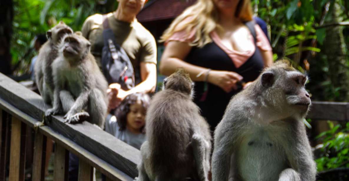 Ubud Monkey Forest, Waterfall, Temple and Rice Terrace Tour - Price and value: is $35 a fair deal for this full Ubud day?