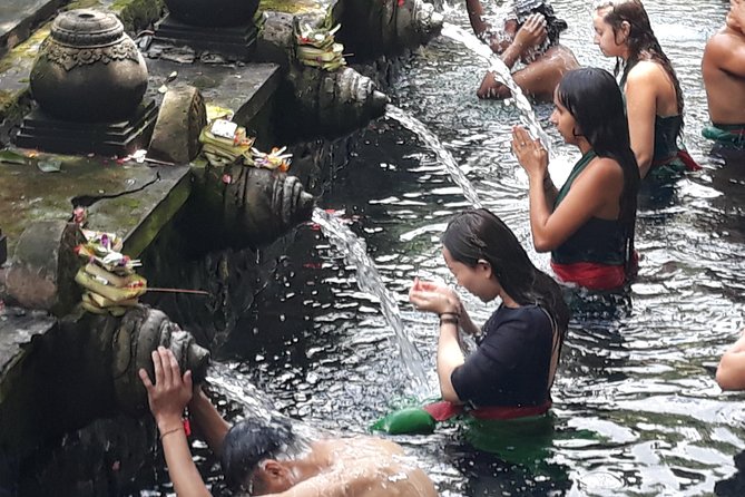 Ubud Natural Gems And Secret Waterfall Private Guided Tour - Tegalalang rice terraces: short trek, big views