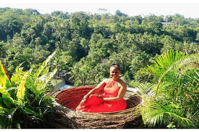 Ubud Natural Scenery with Swing - Tegalalang Rice Terrace: The Classic Ubud Scene