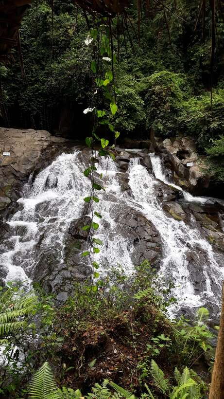 Ubud One Day Private Tour with Driver-Guide - Tirta Empul Temple: what makes the holy-water stop memorable