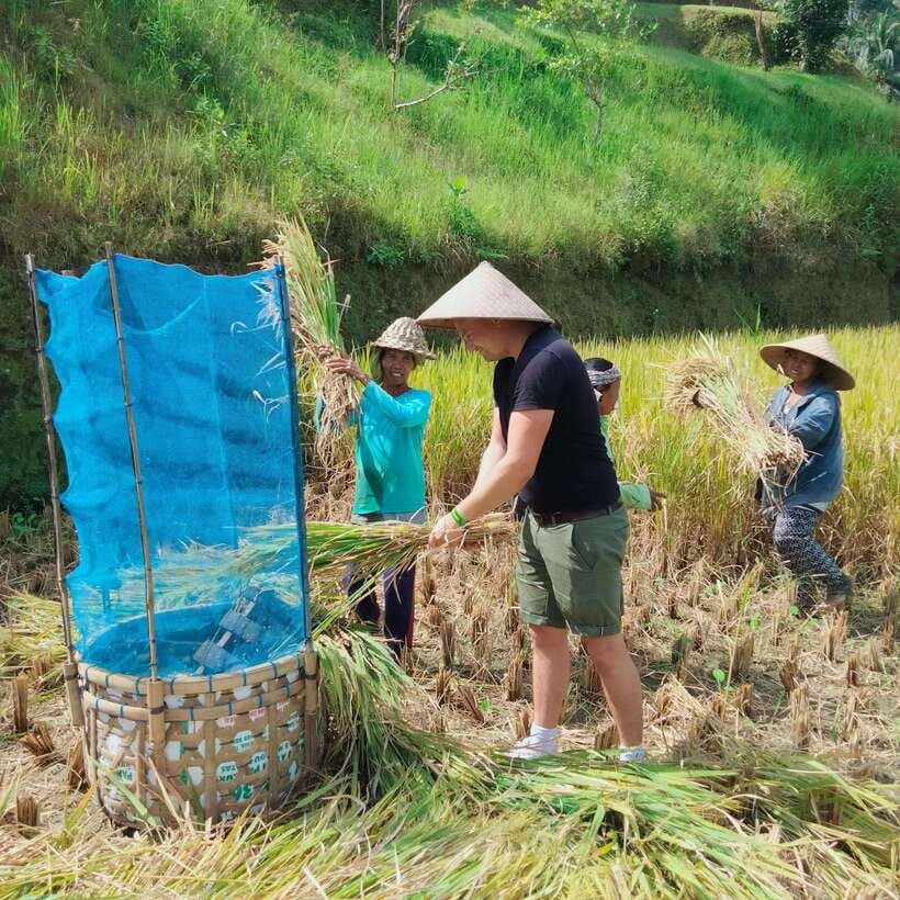 Ubud One Day Private Tour with Driver-Guide - Ubud Palace and Mount Batur viewpoints: choosing the flavor of your day
