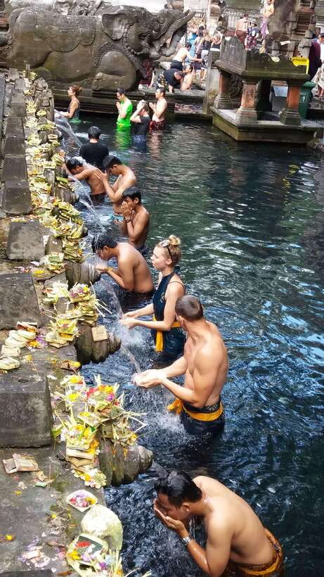 Ubud One Day Private Tour with Driver-Guide - Value and costs: what you’re paying for at about $18 per person