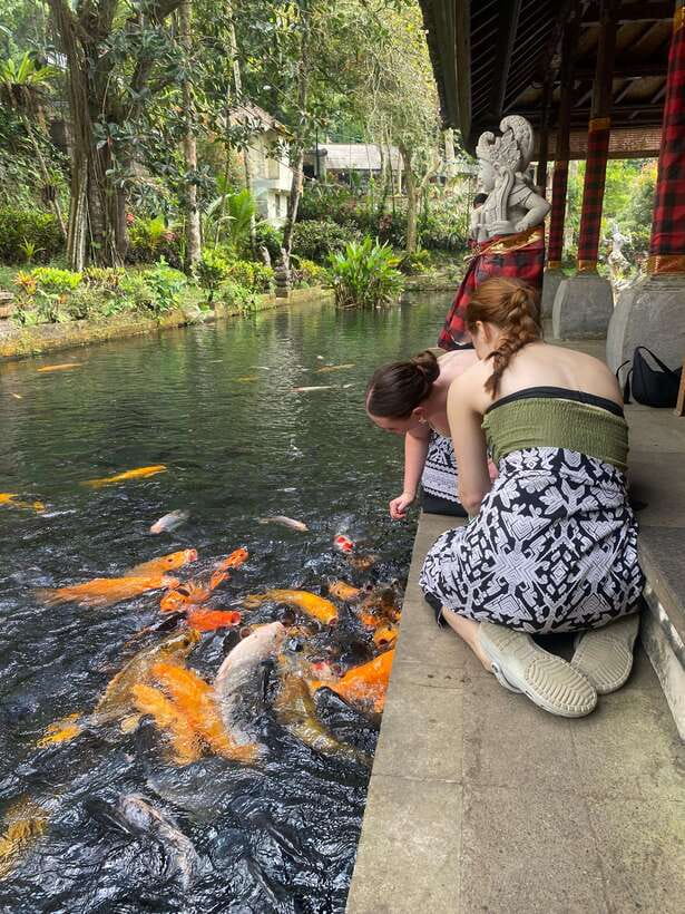 Ubud One Day Private Tour with Driver-Guide - Comfort rules that keep the day pleasant