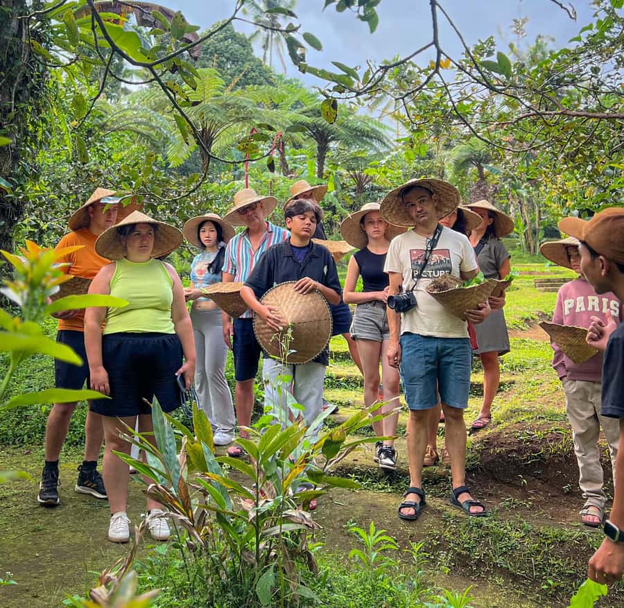 Ubud: Organic Farm Harvest, Bali Cooking Class by Pemulan - Key points before you go