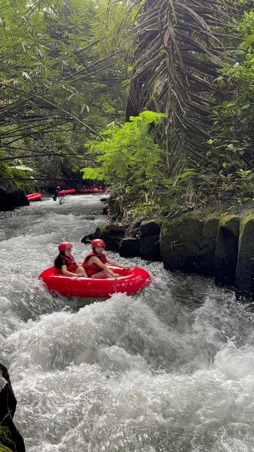 Ubud: Pakerisan Jungle River Tubing Adventure with Lunch - Price and value: is $16 actually a fair deal?