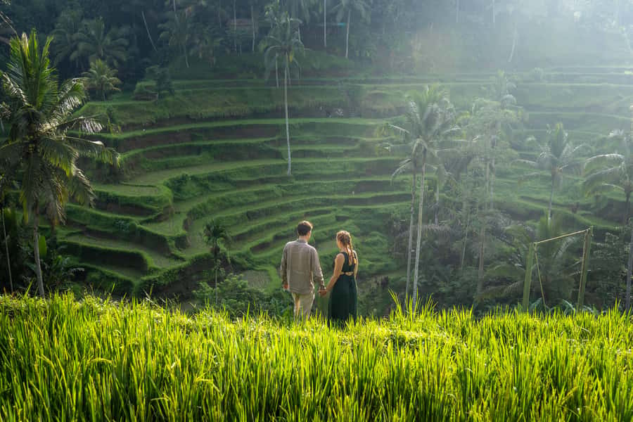 Ubud: Photography Tour Rice Terrace, Waterfall, & Swing - Stop 5: Tibumana Waterfall (calm pools and soft detail)
