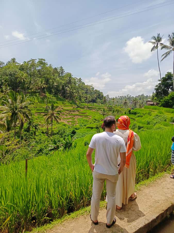 Ubud: Private Charter Car 10hours. - Key points to know before you go