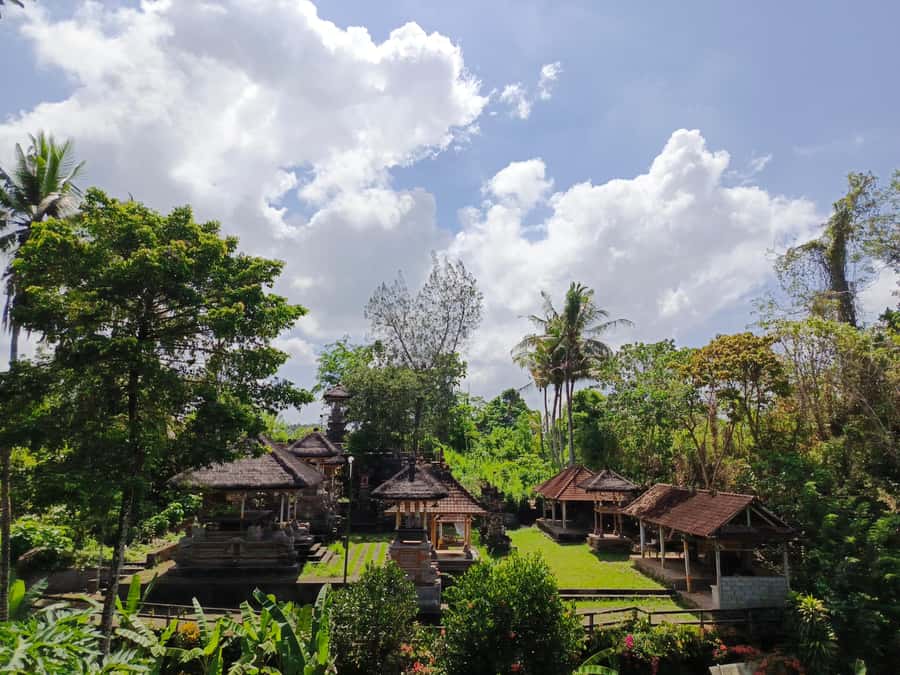 Ubud: Private Charter Car 10hours. - Building your Ubud day: culture, nature, art, food, and more