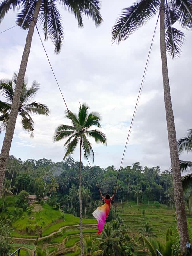 Ubud: Private Charter Car 10hours. - Who this works best for