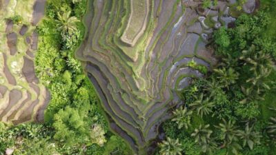 Ubud Private Customized Full-day Tours with Photographer - Price and value: $25 per person plus the add-ons you should expect
