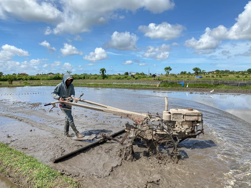 Ubud: PRIVATE E-bike Tour inside Rice Field with meal & pool - Price and value: what $33 includes, and what can cost extra