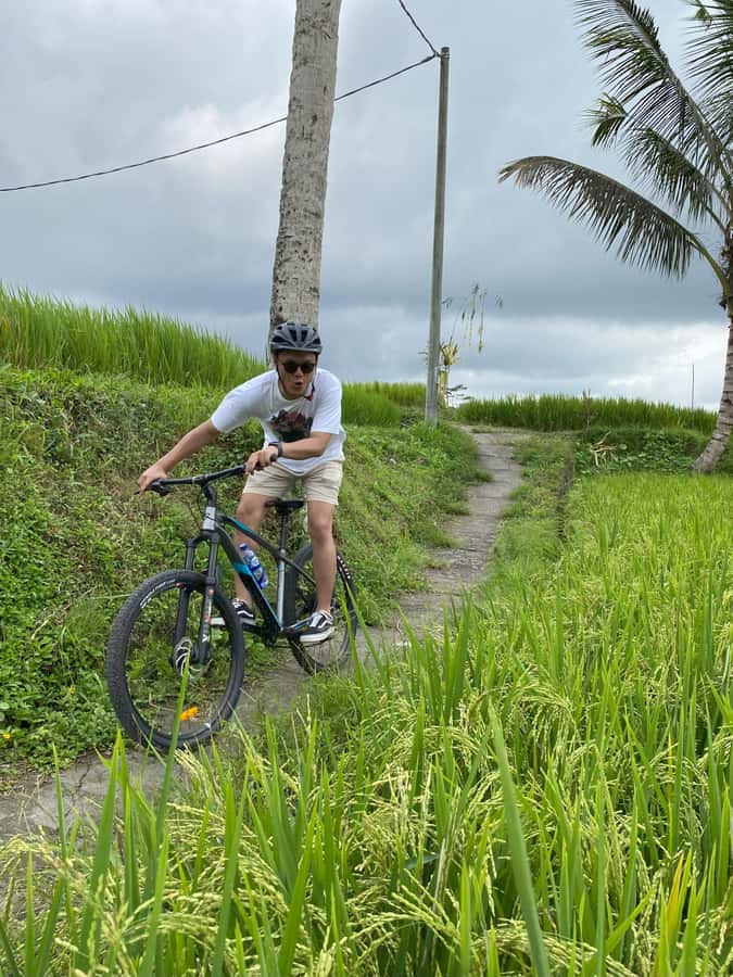 Ubud: PRIVATE E-bike Tour inside Rice Field with meal & pool - The full 6-hour flow: pickup, rice fields, viewpoints, village walks, and lunch