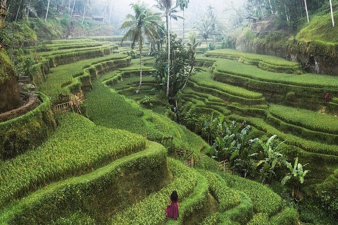 Ubud Private Full-Day Tour - Stop 4: Tirta Empul Temple and Holy Spring Purification