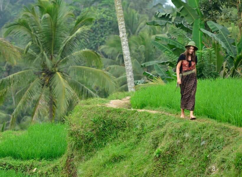 Ubud: Private Half-Day Tour with Rice Terrace & Waterfall - Key highlights to know before you go