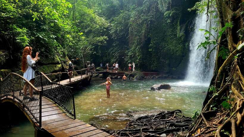 Ubud: Private Half-Day Tour with Rice Terrace & Waterfall - Abian Desa Rice Terrace: walking views plus ride-your-heart-out options