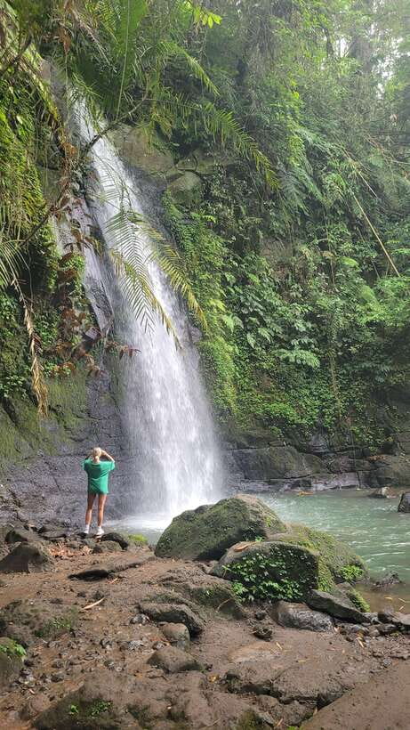 Ubud: Private Half-Day Tour with Rice Terrace & Waterfall - Bali Pulina Coffee Plantation: bean-to-cup learning and tasting (including Luwak)