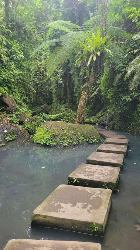 Ubud: Private Half-Day Tour with Rice Terrace & Waterfall - Ulu Petanu Waterfall: cool mist, swimming time, and a rainy-season fallback