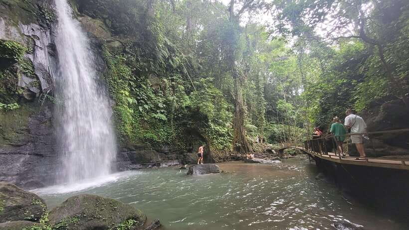 Ubud: Private Half-Day Tour with Rice Terrace & Waterfall - Value for $20: what you’re really paying for