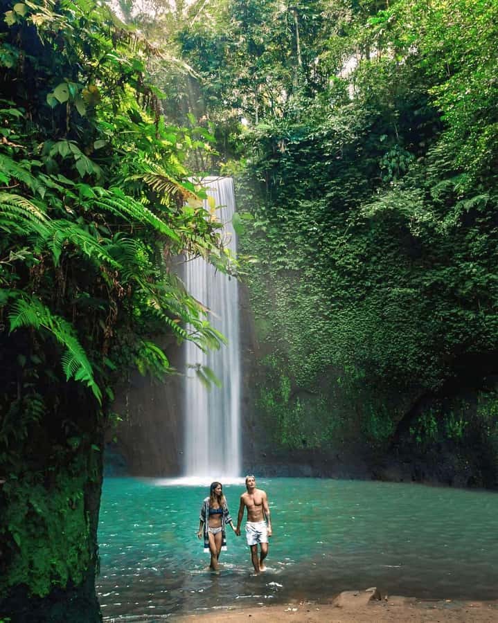 Ubud: Private Hidden Waterfalls and Rice Terrace Tour - Key highlights you’ll actually care about