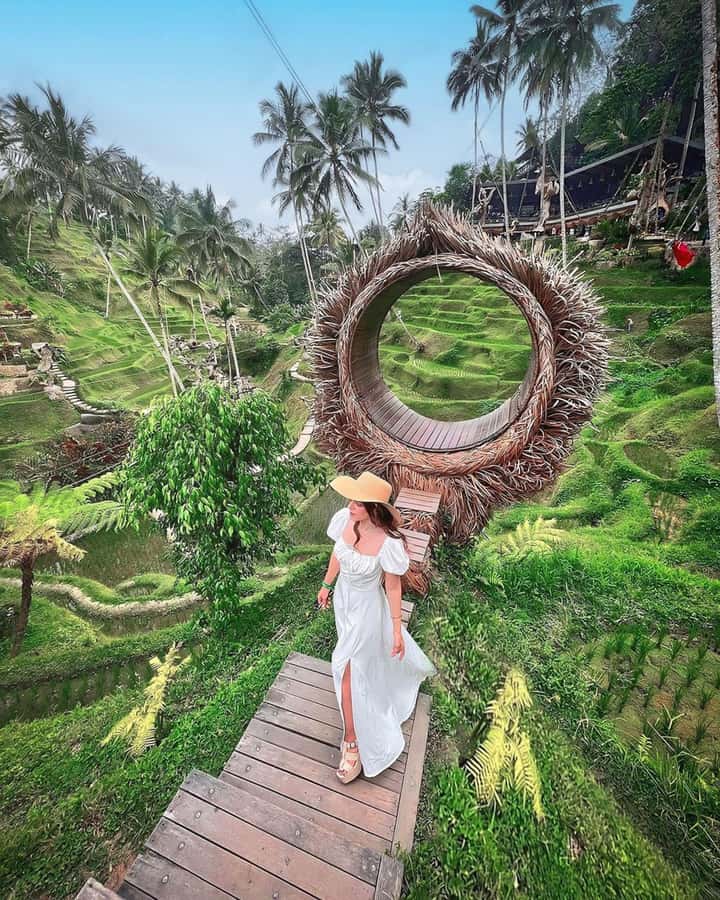 Ubud: Private Hidden Waterfalls and Rice Terrace Tour - Tegenungan Waterfall: crystal-clear swim time and the main viewpoint payoff