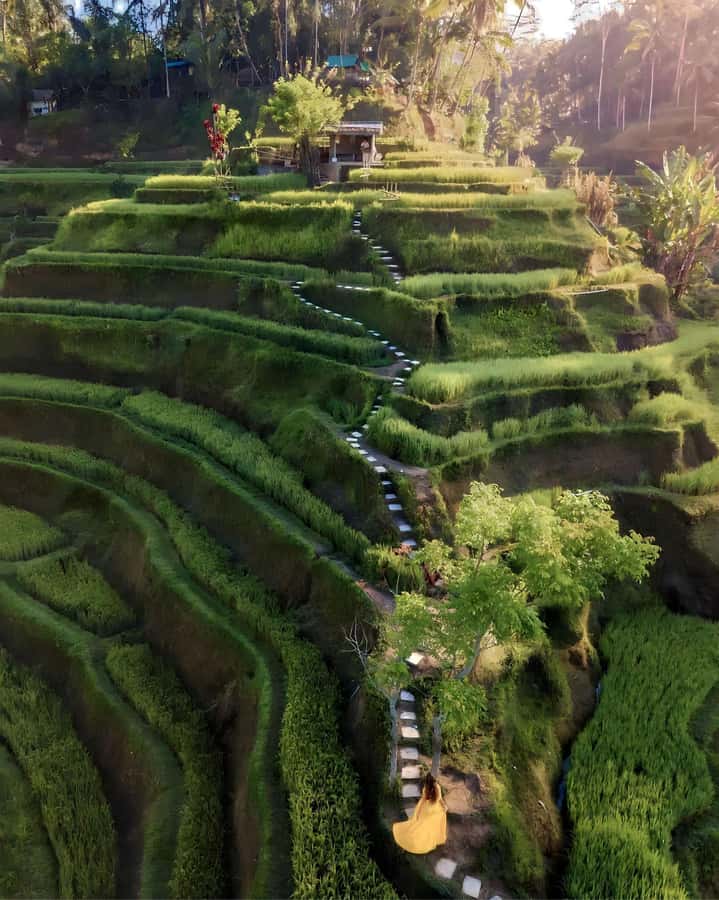 Ubud: Private Scenic Waterfalls and Rice Terraces Tour - What you should bring (so the day stays fun, not annoying)
