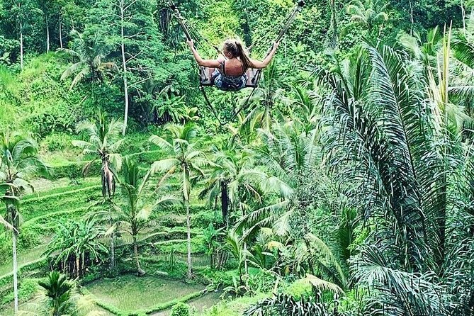 Ubud Private Tour - Pakudui Village and the rice-terrace outlook
