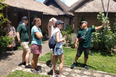 Ubud Private Tour - Kumulilir coffee plantation: the swing stop (Jungle Lust)