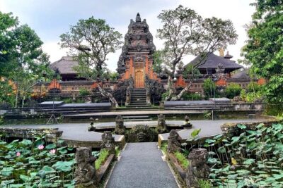 Ubud Private Tour : Best Of Ubud - Guided Tour - Price and value: what you get for $31 per person