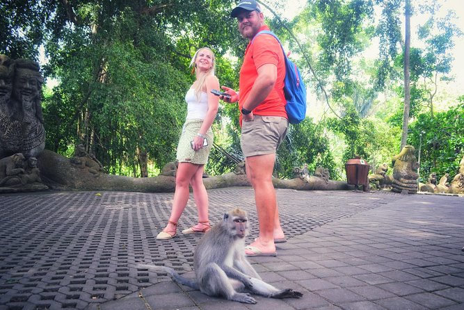 Ubud Private Tour : Choice Your Own Trip - Don Antonio Blanco Museum and Real Bali Swing: Art + Big Photo Energy