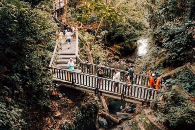 Ubud Private Tour: Monkey Forest, Rice Terrace, Temple, Waterfall - Sacred Monkey Forest Sanctuary: walking among long-tailed macaques