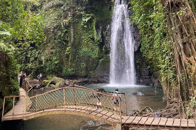 Ubud Private Tour: Monkey Forest, Rice Terrace, Temple, Waterfall - Ulu Petanu Waterfall: when you can actually swim