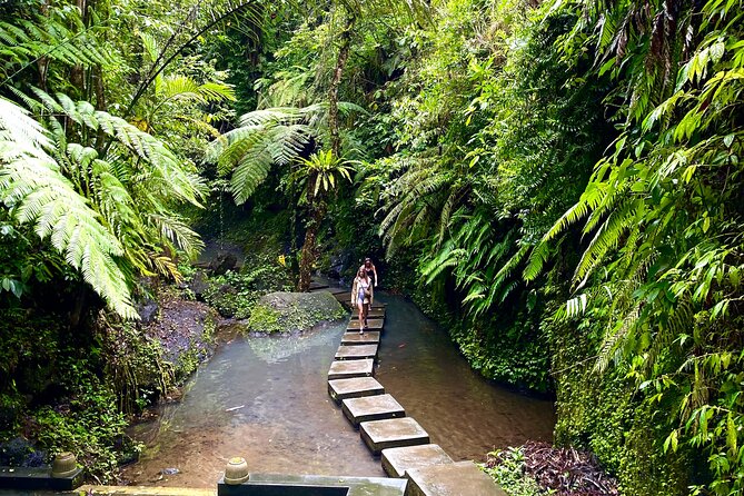 Ubud Private Tour: Monkey Forest, Rice Terrace, Temple, Waterfall - Tirta Empul Temple: holy spring water and the ritual of wishing