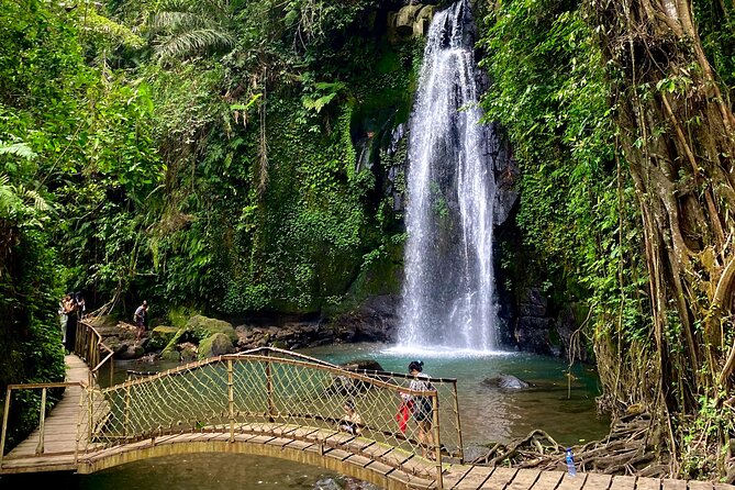Ubud Private Tour: Monkey Forest, Rice Terrace, Temple, Waterfall - Price and what $27 really buys you