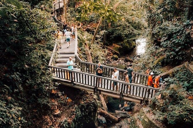 Ubud Private Tour: Monkey Forest, Rice Terrace, Temple, Waterfall - Sacred Monkey Forest Sanctuary: walking among long-tailed macaques
